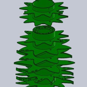 Pino Derecho